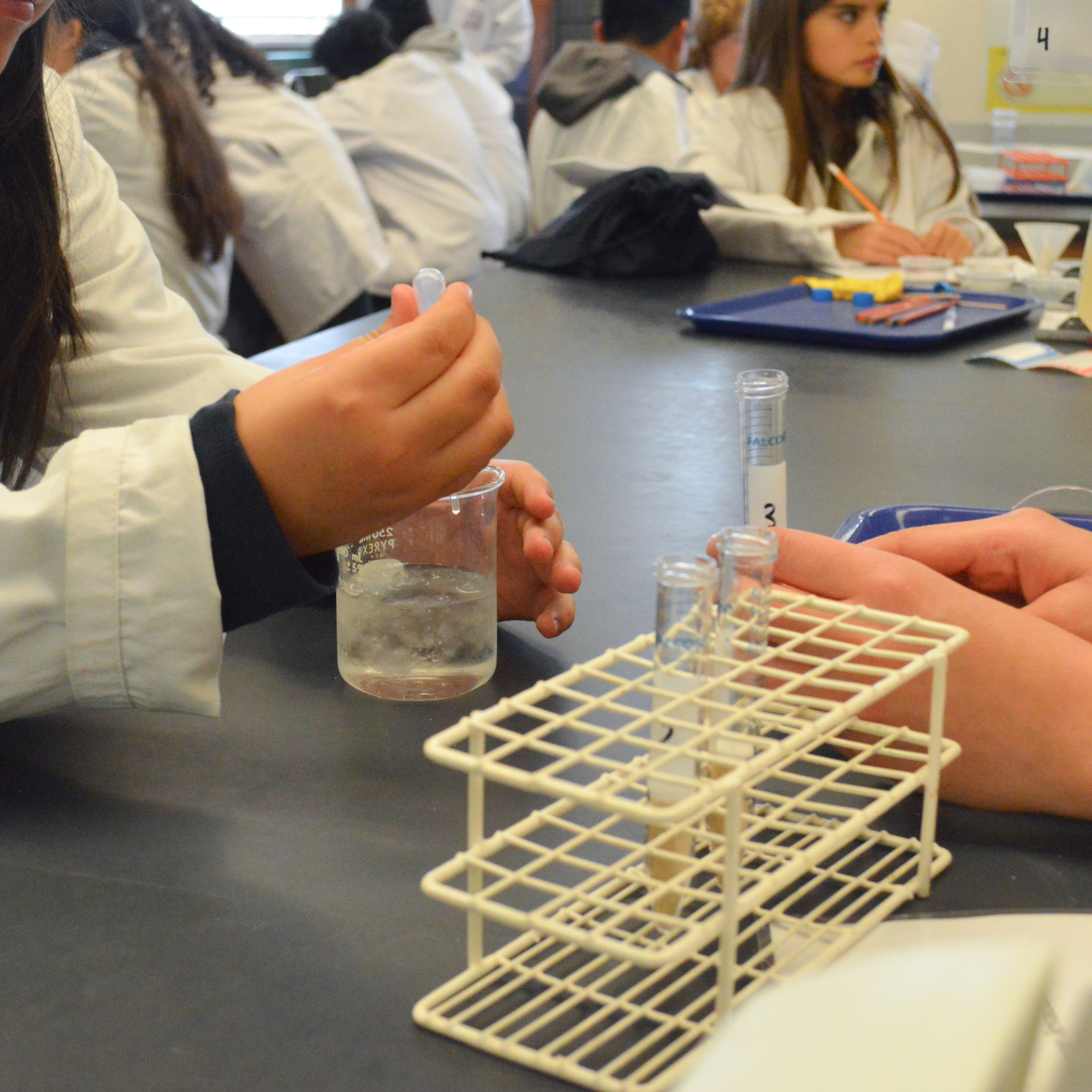 Nuestra Ciencia photo 3