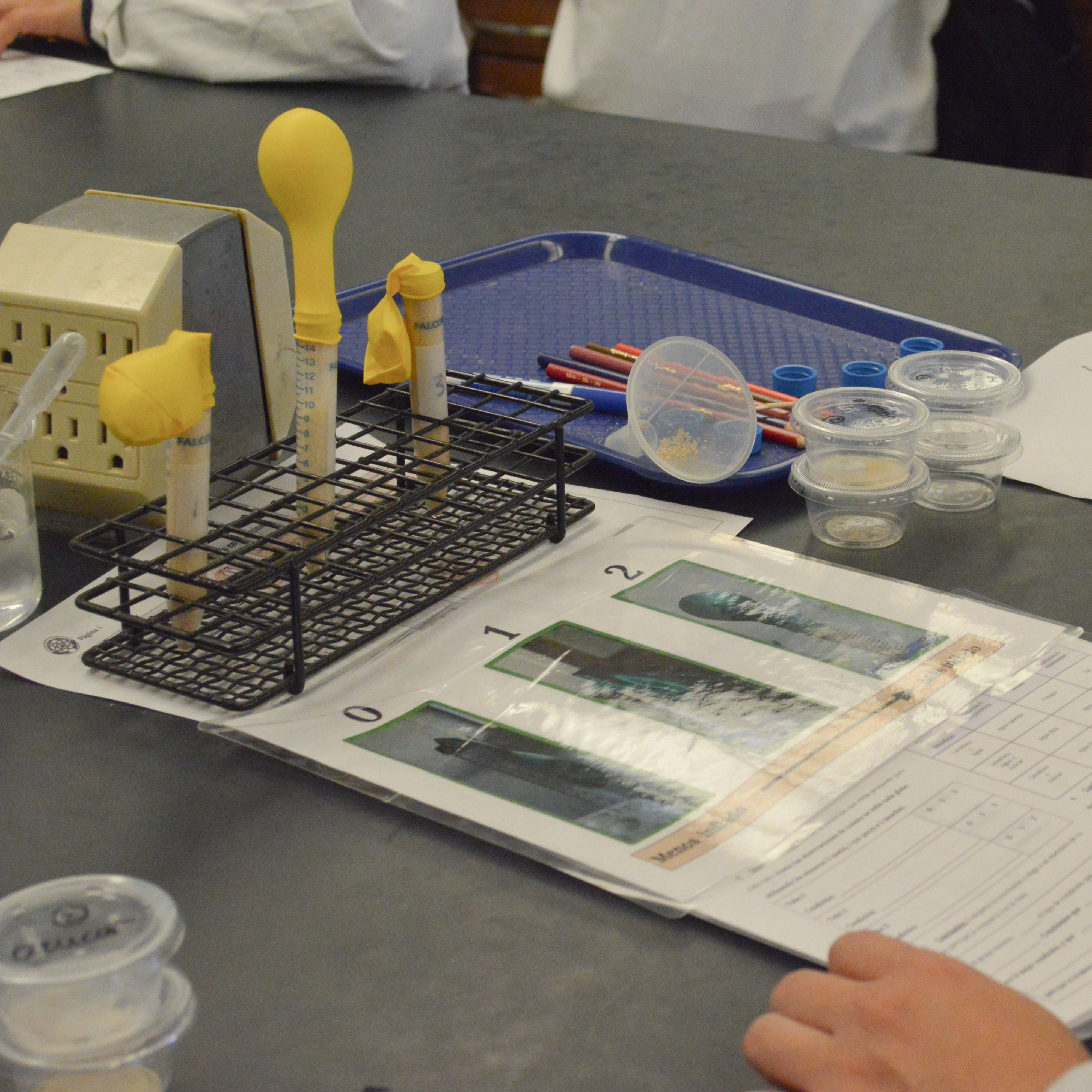 Nuestra Ciencia photo 1