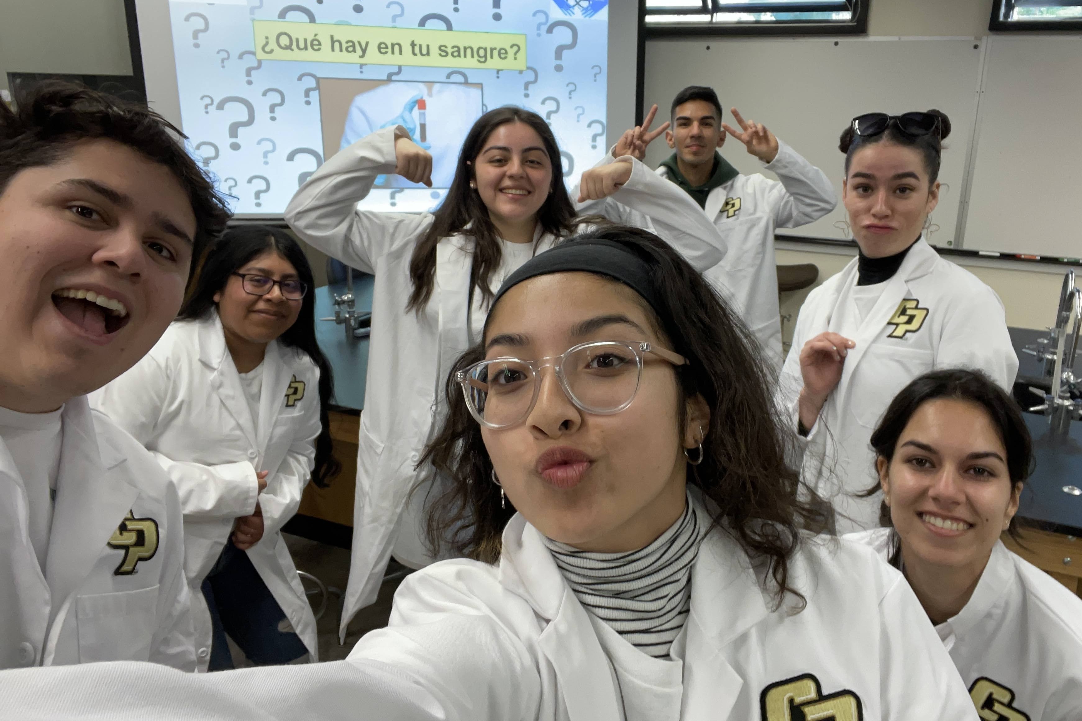 Undergraduate teaching activity